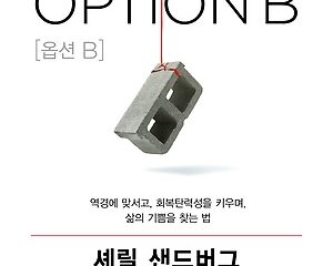 옵션B 역경에 맞서고, 회복탄력성을 키우며, 삶의 기쁨을 찾는 법